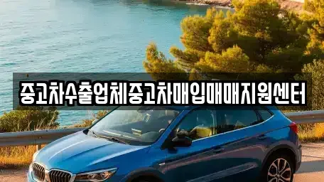 경남 진주시 장대동 중고차매입 전문 중고차수출업체중고차매입매매지원센터