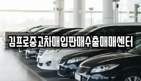 경상북도 상주시 서문동 중고차매매,단기렌트카,중고차매입,장기렌트카,중고차,렌트카
