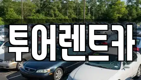 광주광역시 북구 매곡동 장기렌트카 전문 투어렌트카