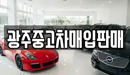 광주광역시 북구 매곡동 중고차 전문 광주중고차매입판매