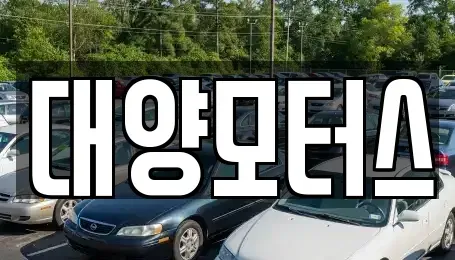 광주광역시 북구 매곡동 중고차 전문 대양모터스