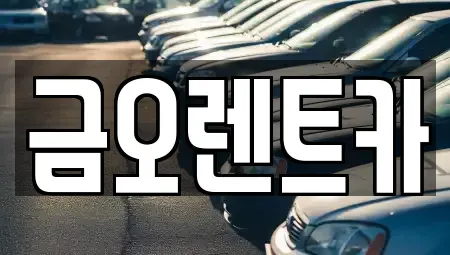 대구 수성구 단기렌트카 전문 금오렌트카