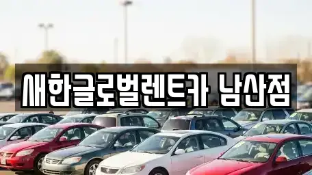 대구 수성구 단기렌트카 전문 새한글로벌렌트카 남산점
