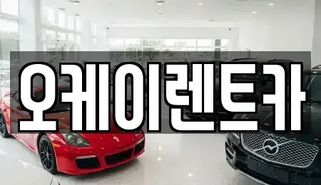 대구 수성구 렌트카 전문 오케이렌트카