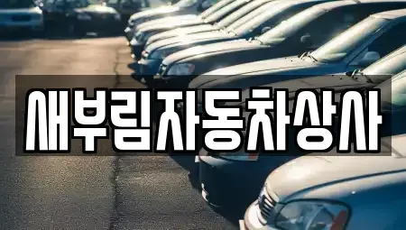 대구 수성구 중고차매매 전문 새부림자동차상사