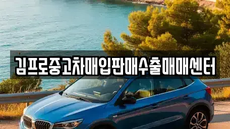 대구 수성구 중고차매입 전문 김프로중고차매입판매수출매매센터