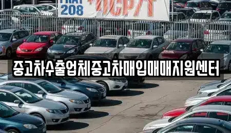 대구 수성구 중고차매입 전문 중고차수출업체중고차매입매매지원센터