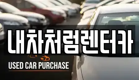 대구광역시 중구 동일동 렌트카 전문 내차처럼렌터카