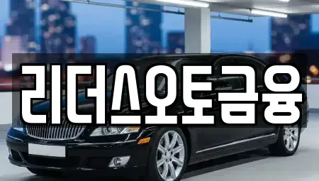 대구광역시 중구 동일동 장기렌트카 전문 리더스오토금융