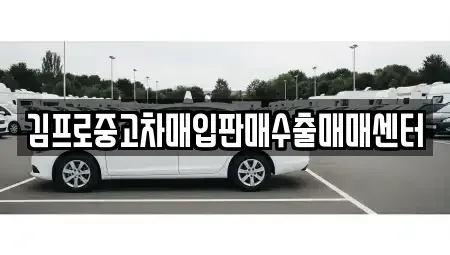 대전광역시 대덕구 대화동 중고차 전문 김프로중고차매입판매수출매매센터