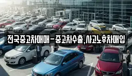 대전광역시 대덕구 대화동 중고차 전문 전국중고차매매-중고차수출,사고노후차매입