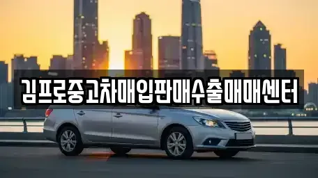 대전광역시 대덕구 비래동 중고차매매 전문 김프로중고차매입판매수출매매센터