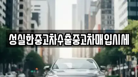 대전광역시 대덕구 비래동 중고차매매 전문 성실한중고차수출중고차매입시세