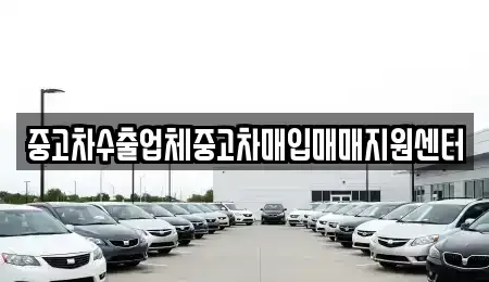 대전광역시 대덕구 비래동 중고차매입 전문 중고차수출업체중고차매입매매지원센터