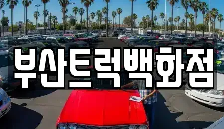 부산 강서구 송정동 중고차 전문 부산트럭백화점