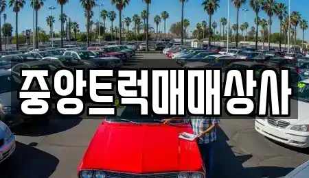 부산 강서구 송정동 장기렌트카,중고차,렌트카,단기렌트카,중고차매입,중고차매매