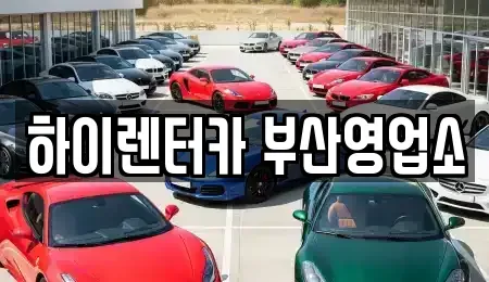 부산광역시 중구 중앙동4가 렌트카 전문 하이렌터카 부산영업소