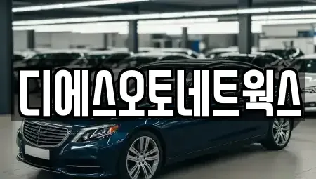 서울 서초구 양재동 렌트카 전문 디에스오토네트웍스