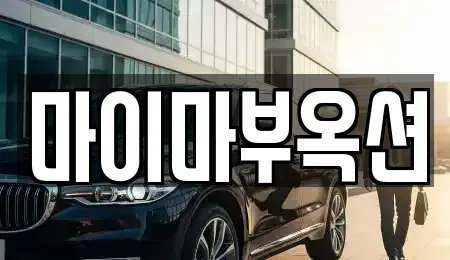 서울 서초구 양재동 중고차매매 전문 마이마부옥션