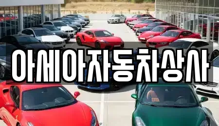 서울특별시 중구 삼각동 중고차 전문 아세아자동차상사