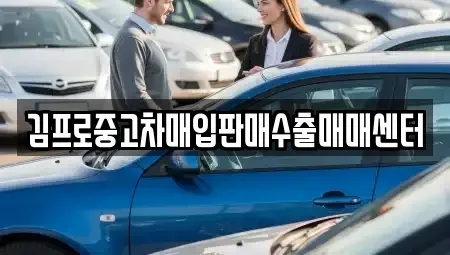 서울특별시 중구 삼각동 중고차매입 전문 김프로중고차매입판매수출매매센터