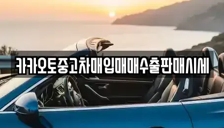 서울특별시 중구 삼각동 중고차매입 전문 카카오토중고차매입매매수출판매시세