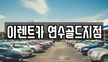 인천광역시 미추홀구 문학동 단기렌트카 전문 이렌트카 연수골드지점