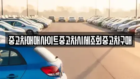 인천광역시 미추홀구 문학동 중고차 전문 중고차매매사이트중고차시세조회중고차구매