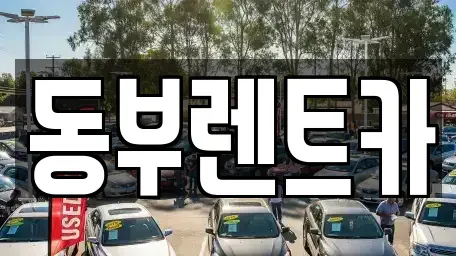 전라남도 완도군 렌트카,단기렌트카,장기렌트카,중고차,중고차매매,중고차매입