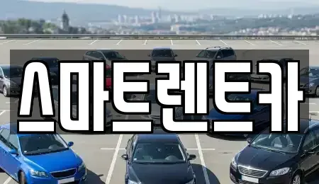 전라남도 완도군 렌트카 전문 스마트렌트카