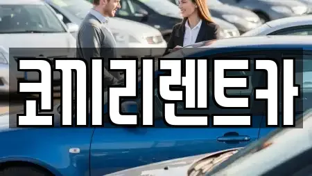 전라남도 완도군 렌트카 전문 코끼리렌트카