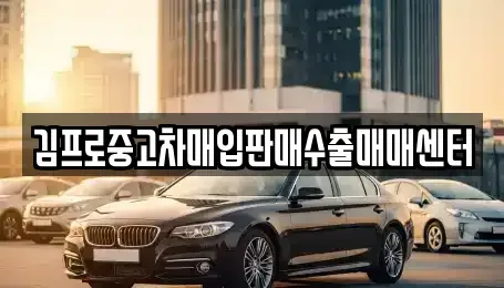전라남도 완도군 중고차 전문 김프로중고차매입판매수출매매센터