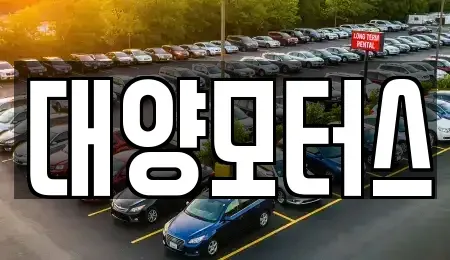 전라남도 완도군 중고차 전문 대양모터스