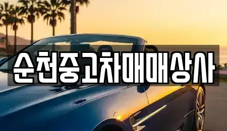 전라남도 완도군 중고차 전문 순천중고차매매상사