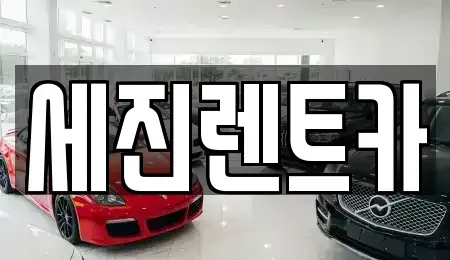 전북 군산시 삼학동 렌트카 전문 세진렌트카