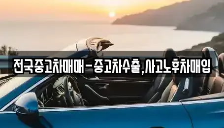 전북 남원시 왕정동 중고차매입 전문 전국중고차매매-중고차수출,사고노후차매입