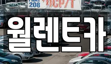 충남 천안시 동남구 신방동 렌트카 전문 월렌트카