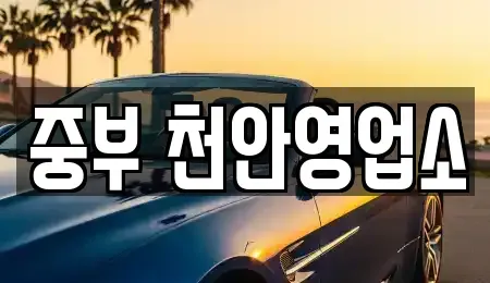 충남 천안시 동남구 신방동 렌트카 전문 중부 천안영업소