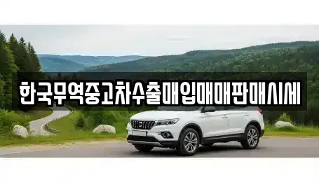 충남 천안시 동남구 신방동 중고차매입 전문 한국무역중고차수출매입매매판매시세