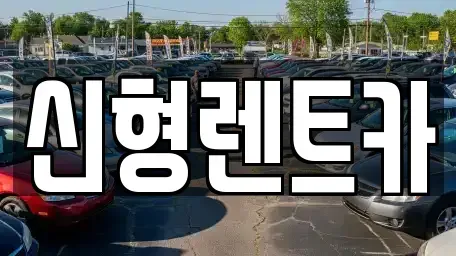 충북 제천시 명지동 렌트카 전문 신형렌트카