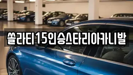 충북 제천시 명지동 렌트카 전문 쏠라티15인승스타리아카니발