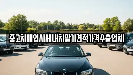 충북 제천시 명지동 중고차매입 전문 중고차매입시세내차팔기견적가격수출업체