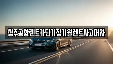 충청북도 청주시 서원구 남이면 단기렌트카 전문 청주공항렌트카단기장기월렌트사고대차