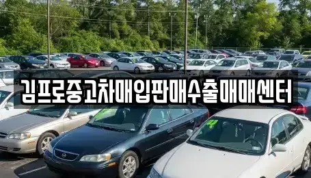 충청북도 청주시 서원구 남이면 중고차매입 전문 김프로중고차매입판매수출매매센터